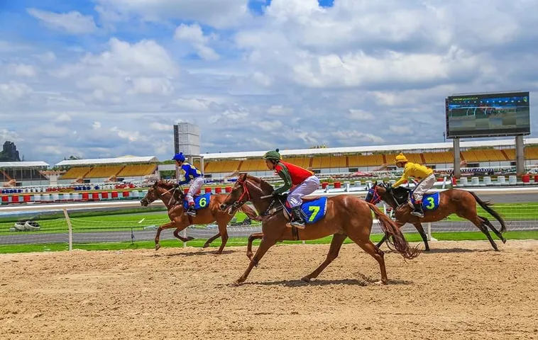 Hướng Dẫn Đua Ngựa 2Bong88 Cho Người Mới Tham Gia Trực Tuyến 2 Hướng Dẫn Đua Ngựa 2Bong88 Cho Người Mới Tham Gia Trực Tuyến