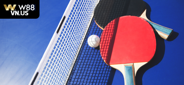 Cá Cược Bóng Bàn W88: Chinh Phục Với Những Mẹo Hay 11 ca cuoc bong ban w88